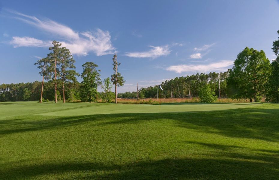 Course photo for The Club At Osprey Cove
