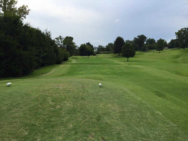 Course photo for VinnyLinks Golf Course