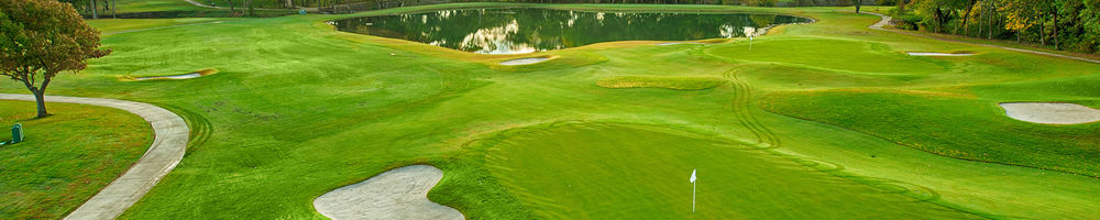 Course photo for The Courses at Watters Creek - The Players (Par 30)