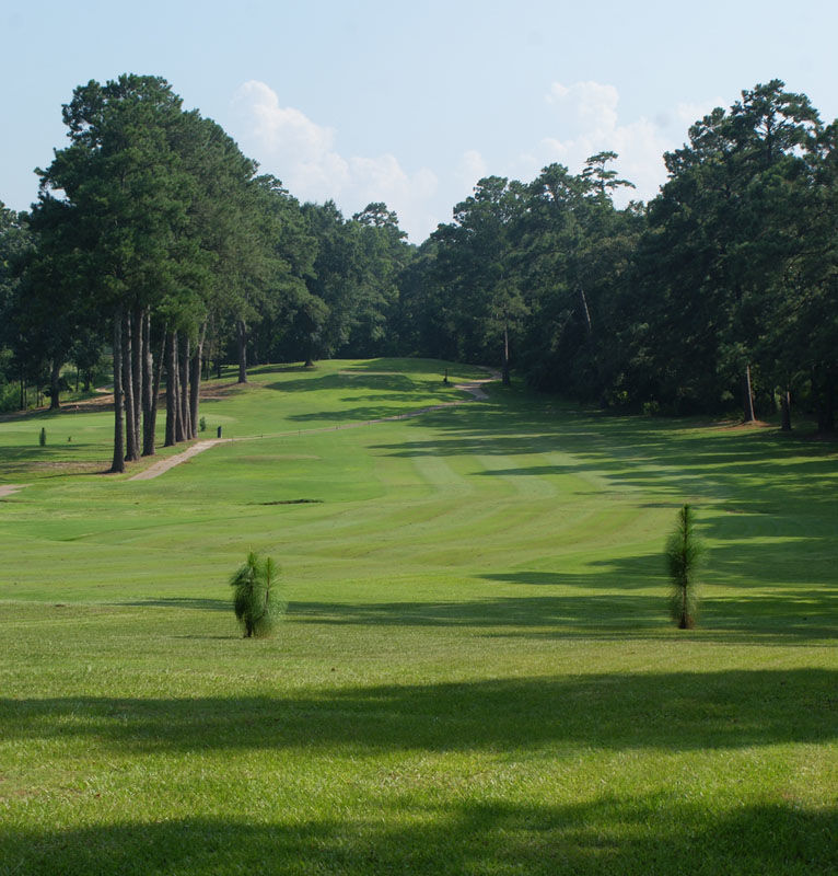 Course photo for Lumberjack National