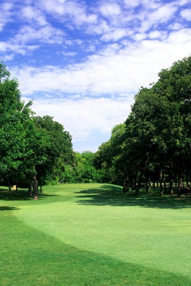 Course photo for Meadowbrook Park Golf Course