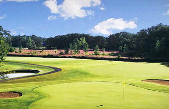 Course photo for The Links at Erie Village
