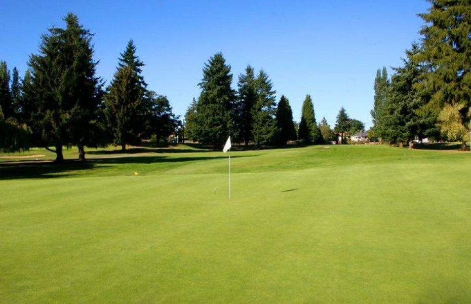 Course photo for Allenmore Golf Course