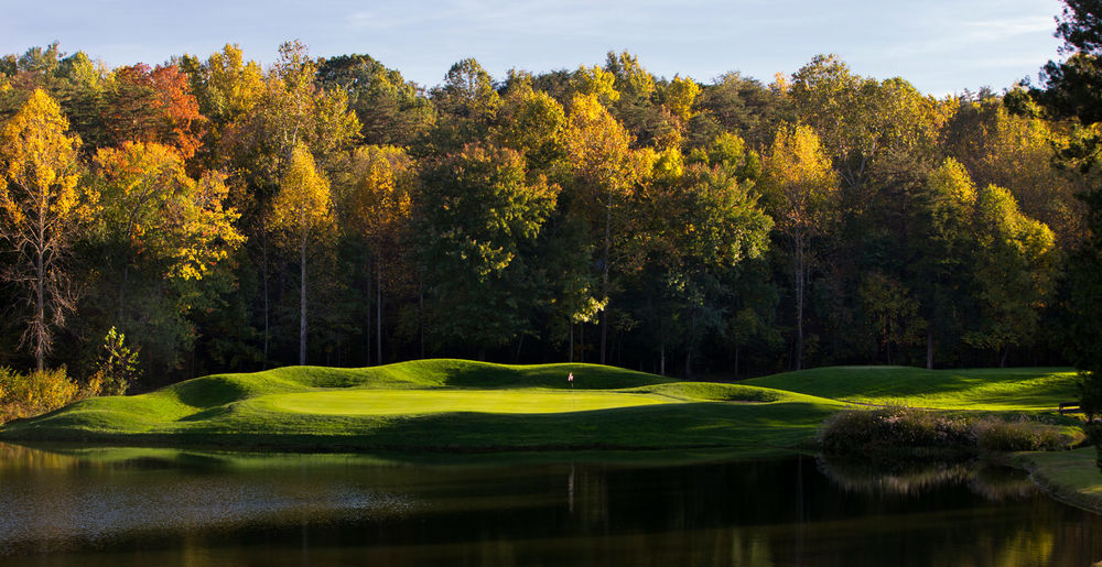 Course photo for Stoney Creek Golf Course