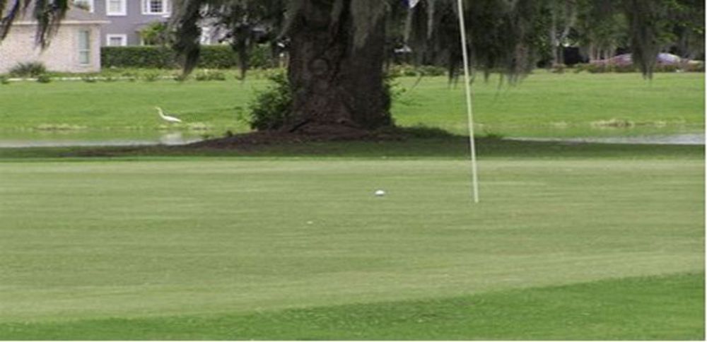 Course photo for Belle Terre Country Club
