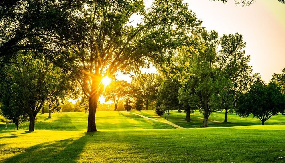 Course photo for Dub's Dread Golf Club