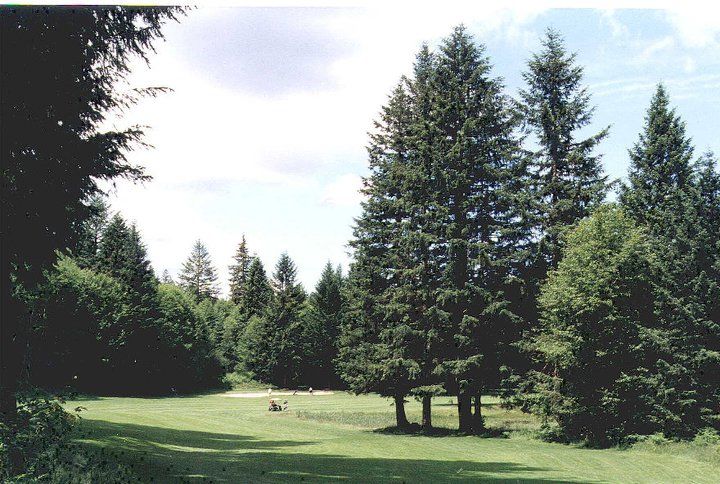 Course photo for Elkhorn Valley Golf Course