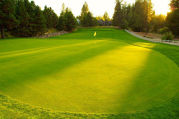 Course photo for Old Back Nine Golf Course