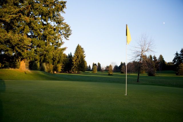 Course photo for Greenlea Golf Course