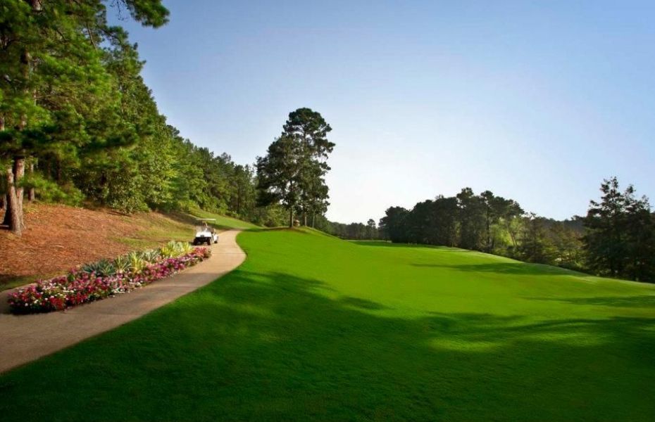 Course photo for Cypress Bend