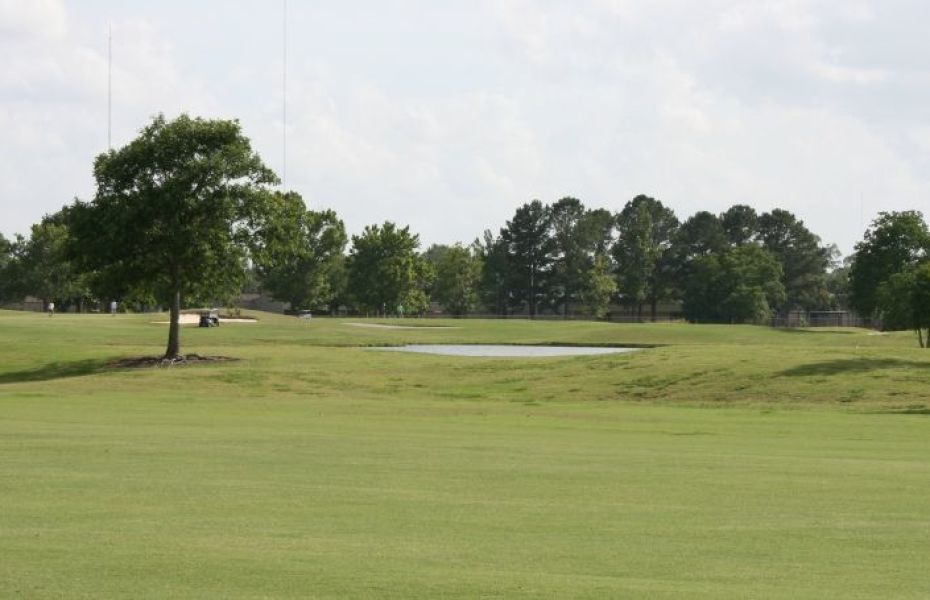 Course photo for LSU Golf Course