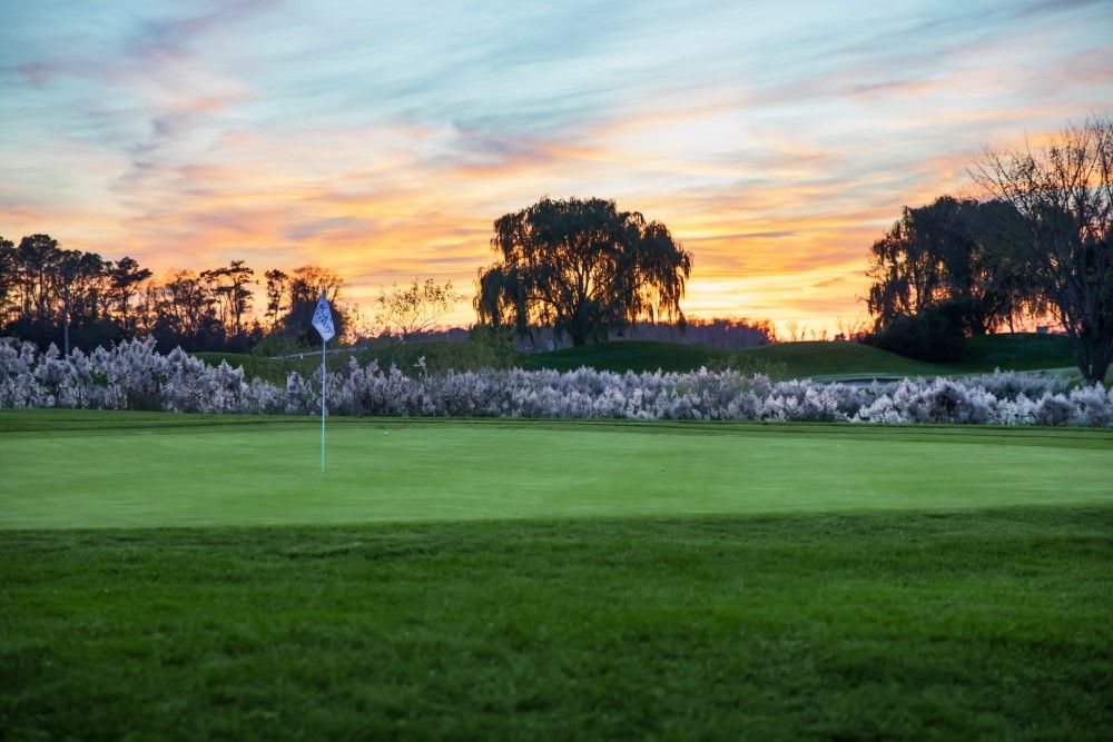 Course photo for The Rookery Golf Club | South