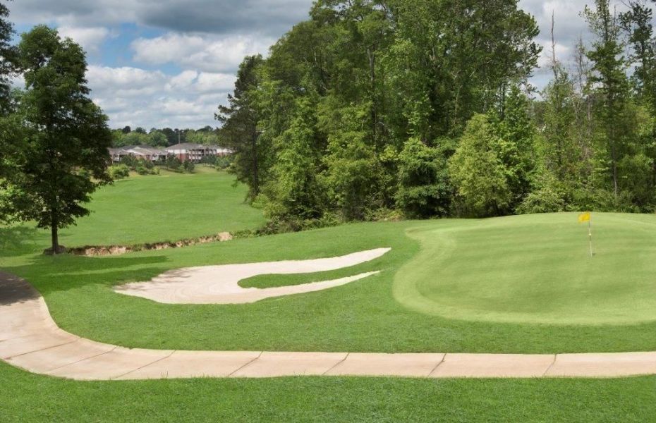 Course photo for The Greens At Auburn Golf Course