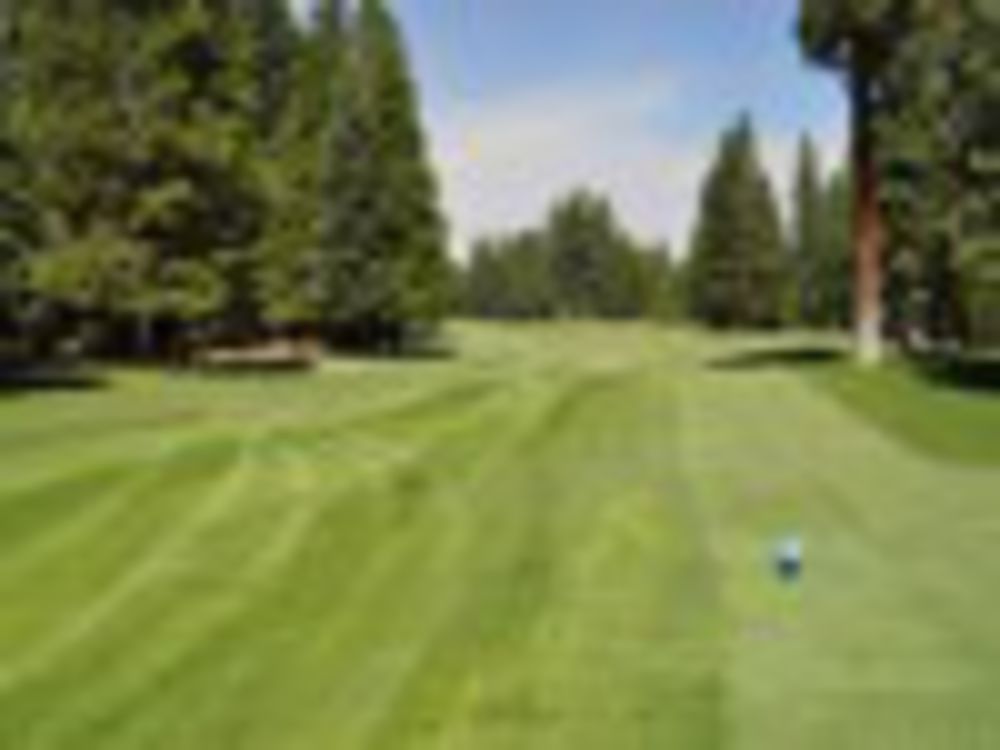 Course photo for Lake Almanor West Golf Course