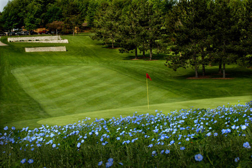 Course photo for Bellwood Oaks Golf Course