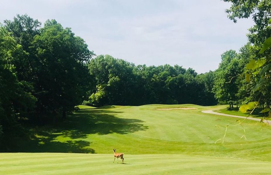 Course photo for Eagle Creek Golf Course