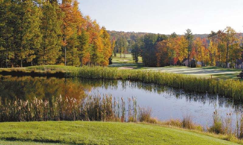 Course photo for Woodloch Springs Country Club