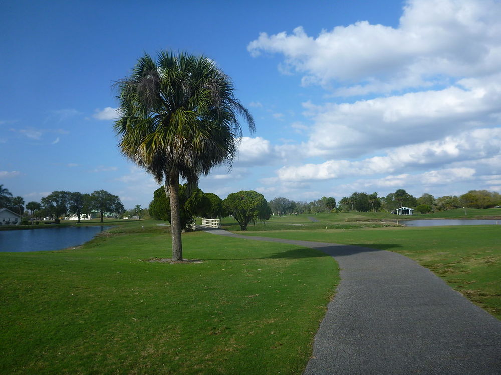 Course photo for Sandpiper Golf Club (Sun City Center, FL)