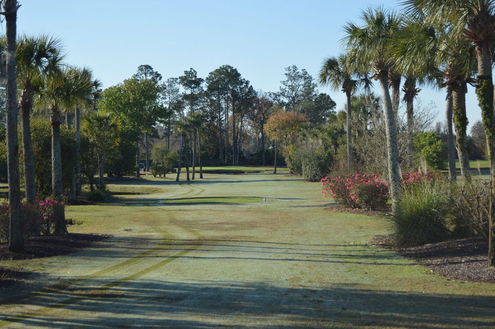 Course photo for Palm Valley Golf Club