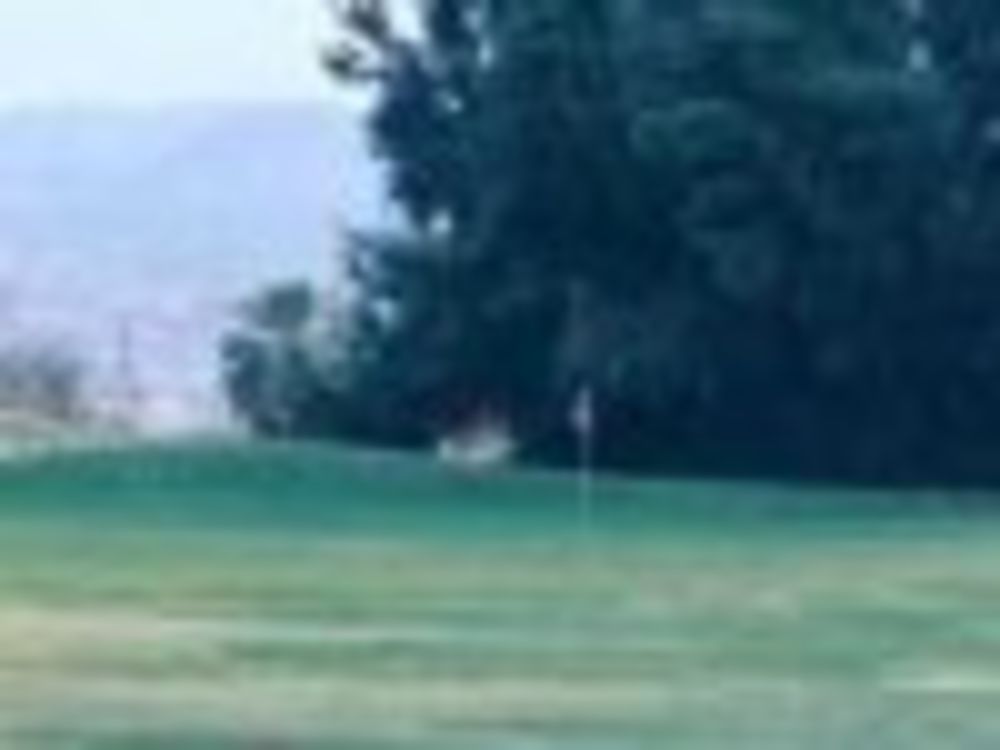 Course photo for Roadrunner Dunes Golf Course