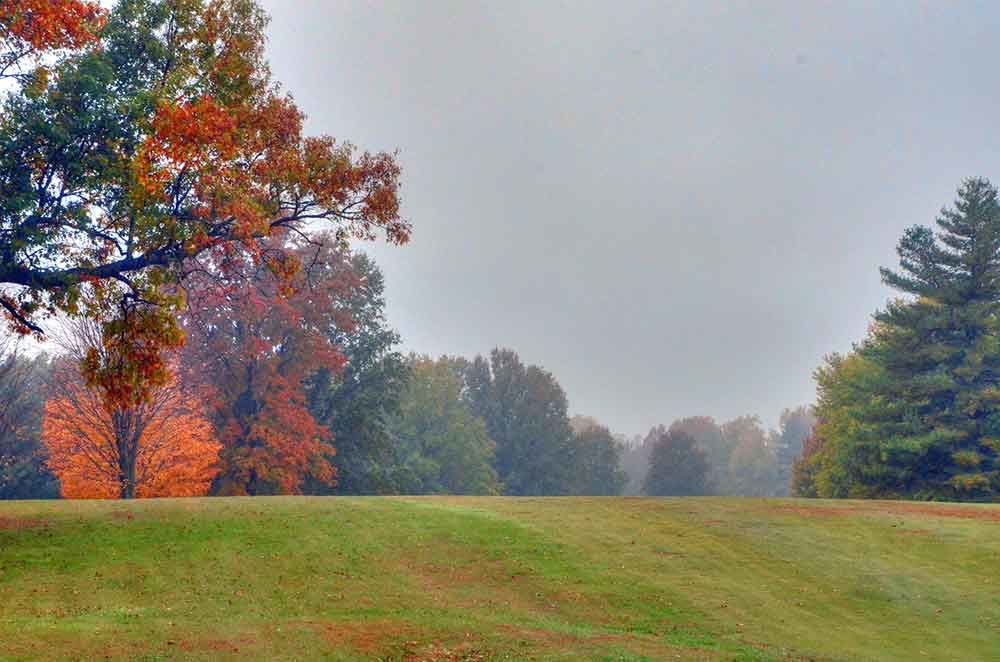 Course photo for Shirkey Golf Course
