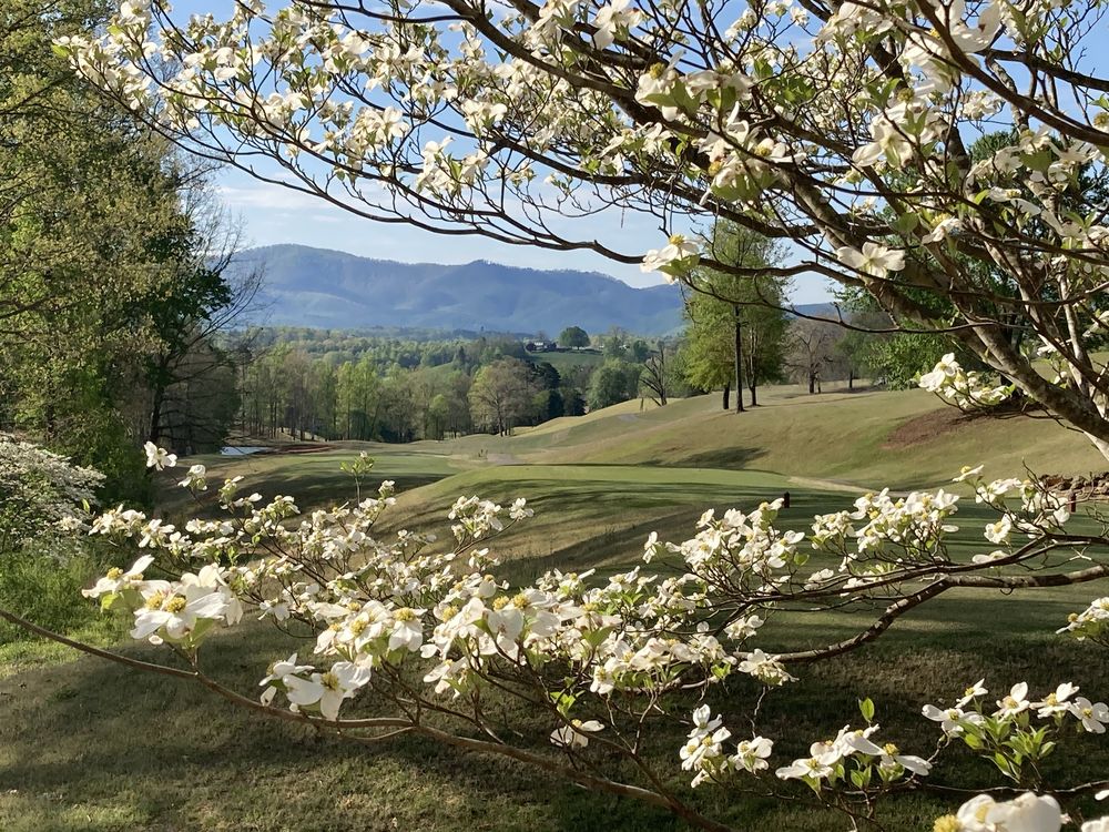 Course photo for Silver Creek Golf Club