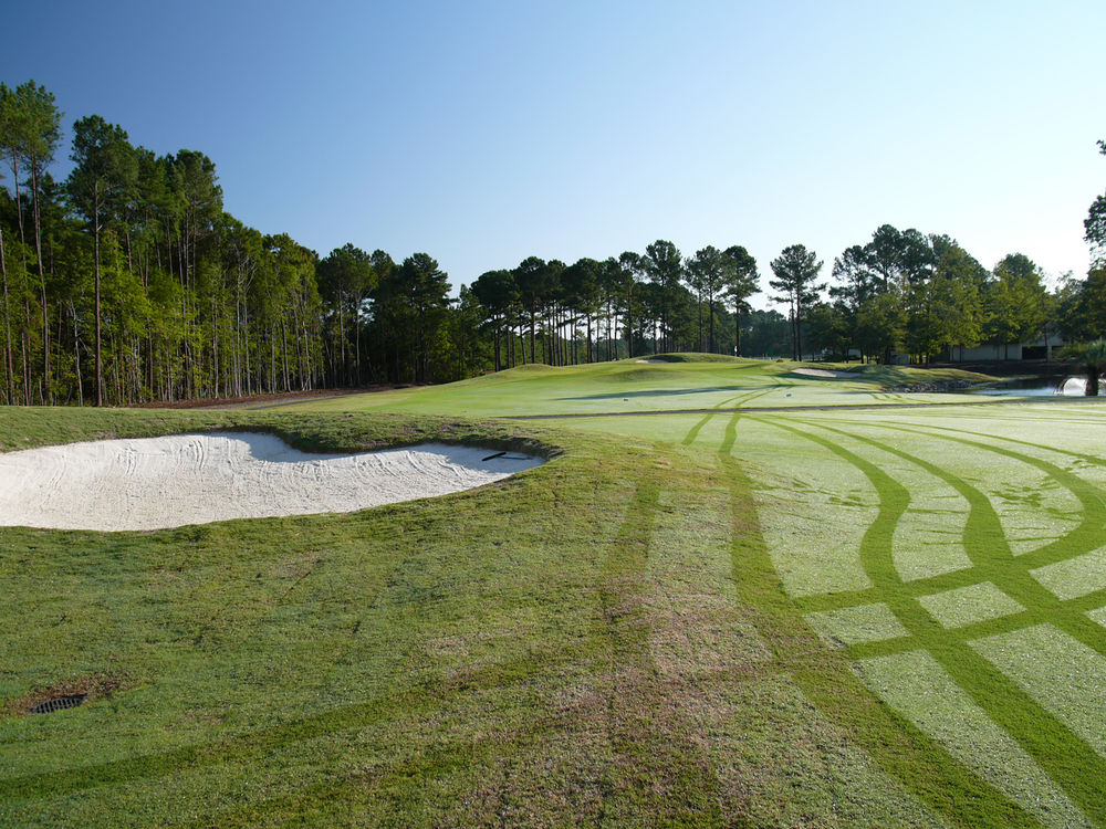 Course photo for River Oaks Golf Club