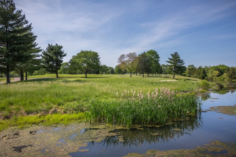 Course photo for Golf at The Crossvines