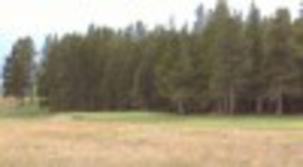 Course photo for Mt. Massive Golf Club