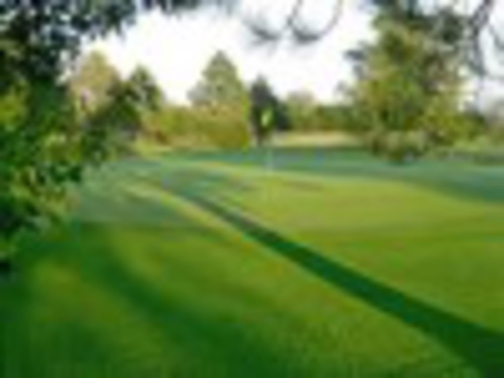 Course photo for Tamarack Golf Club
