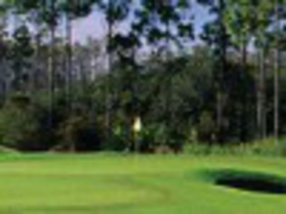 Course photo for Hammock Beach - Conservatory Course