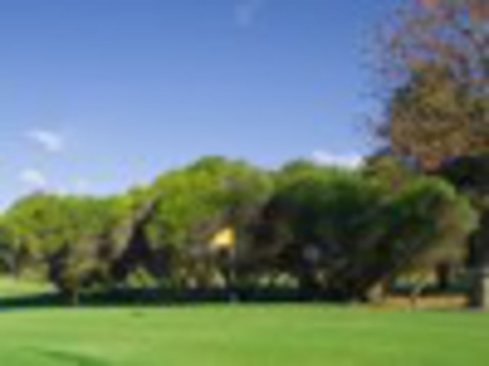 Course photo for Meadowbrook Golf Club