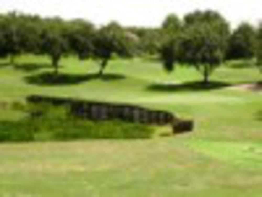 Course photo for Palisades Country Club