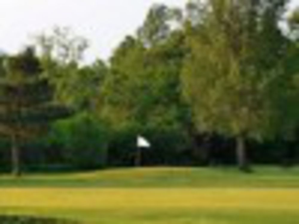 Course photo for River Greens Golf Course