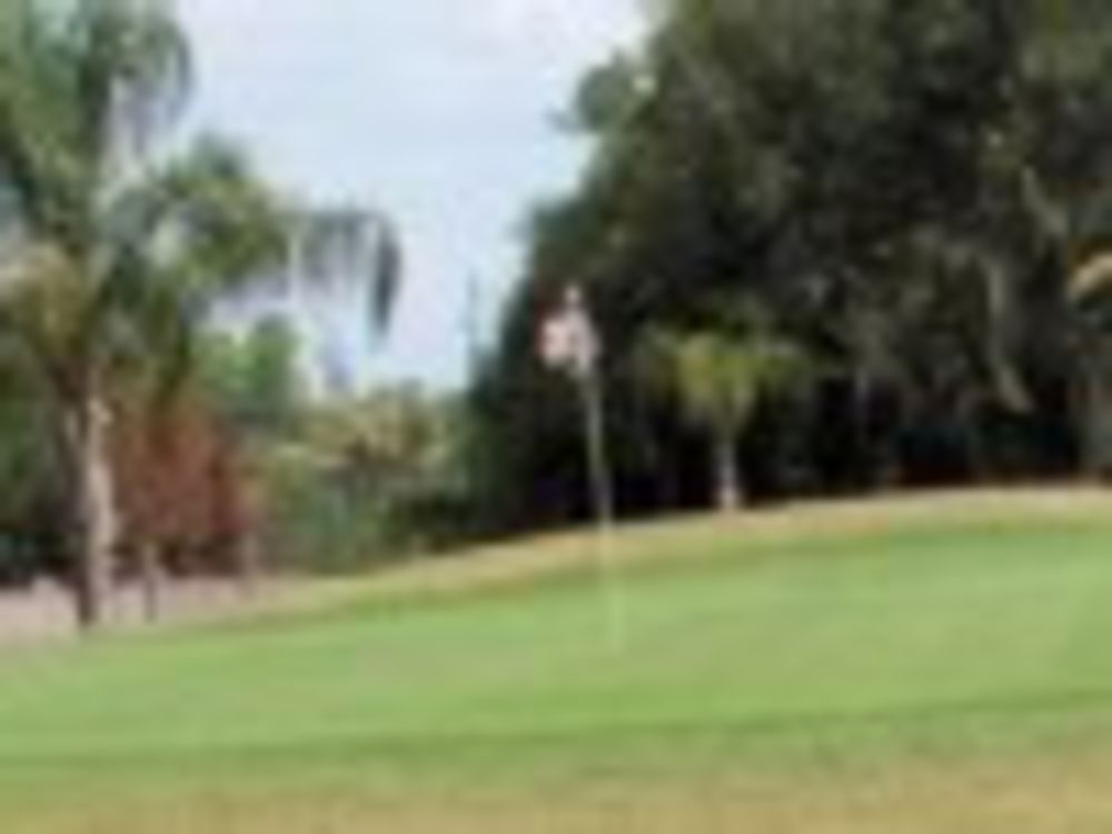 Course photo for Timber Greens Golf Club