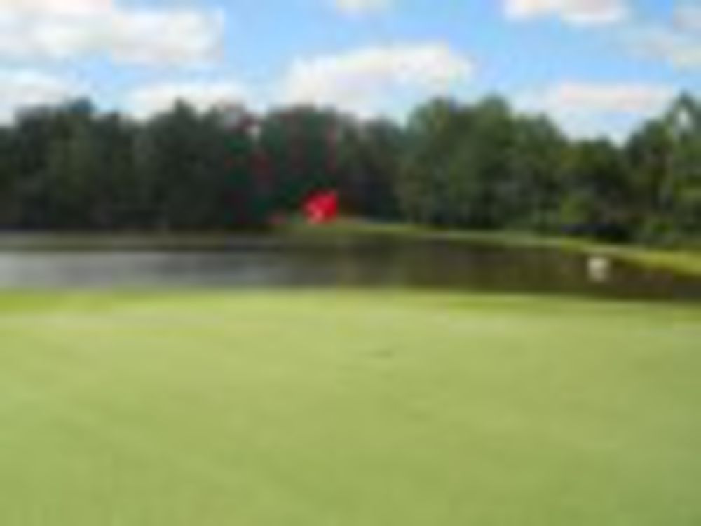 Course photo for Southern Landings Golf Club