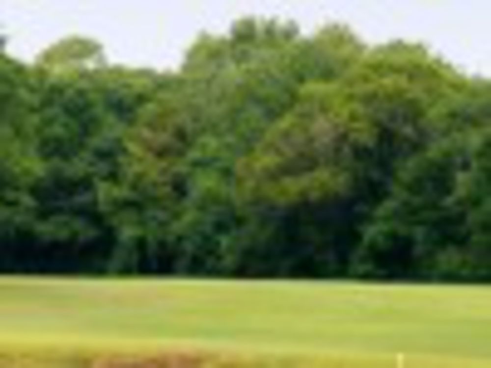 Course photo for Little Ocmulgee At Wallace Adams Course