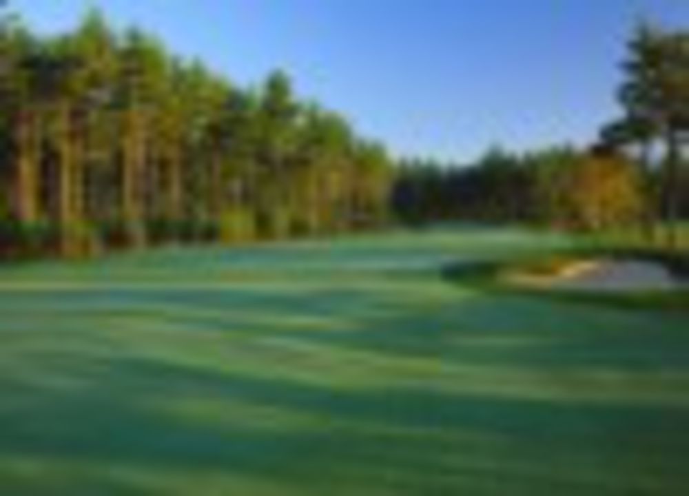 Course photo for Pine Hills Country Club