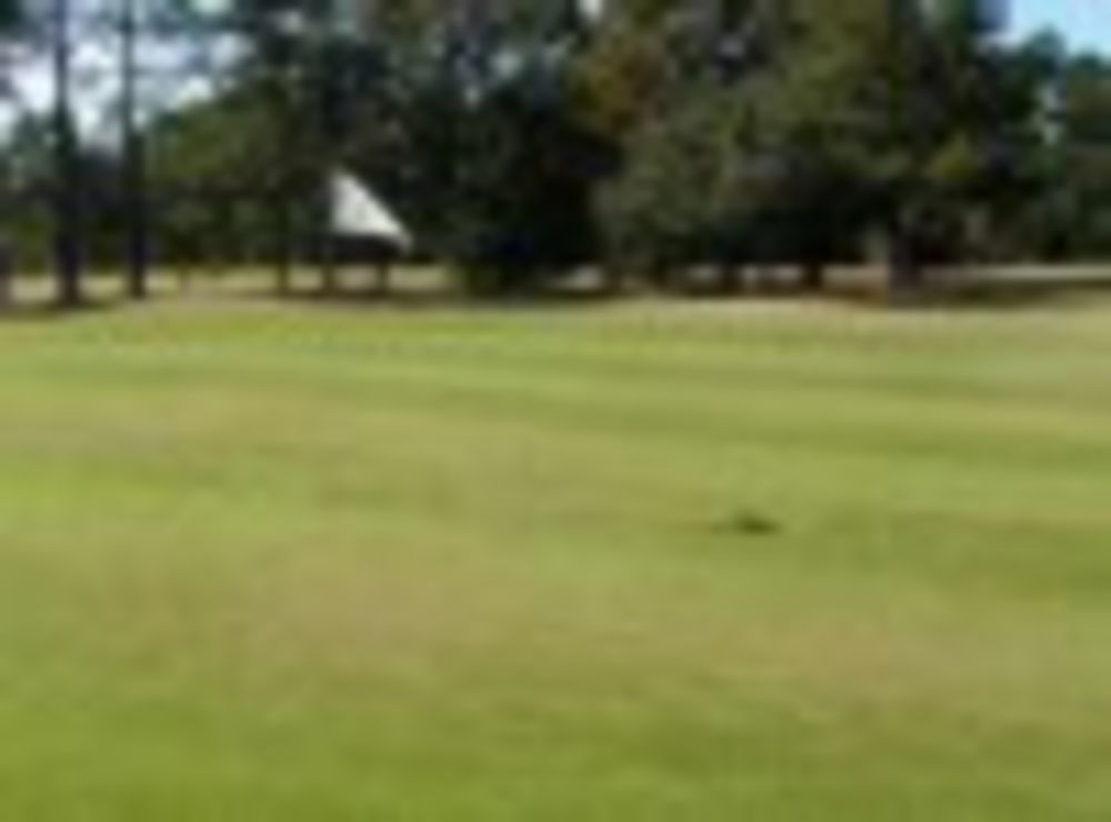 Course photo for Wanee Lake Golf and RV Resort