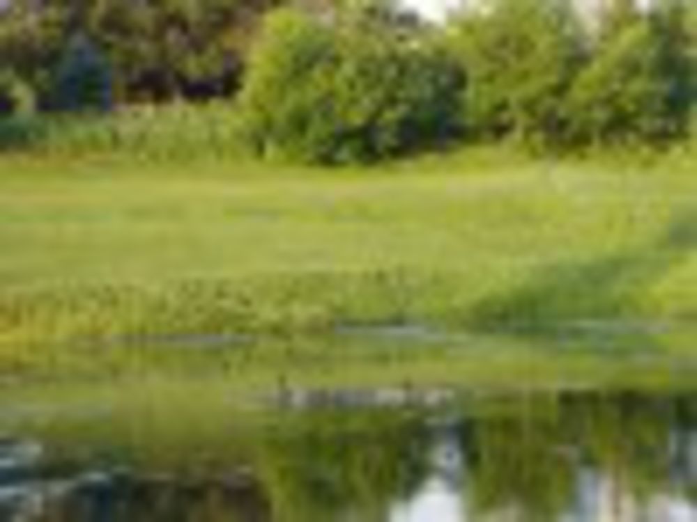 Course photo for Prairie Knolls Golf Course