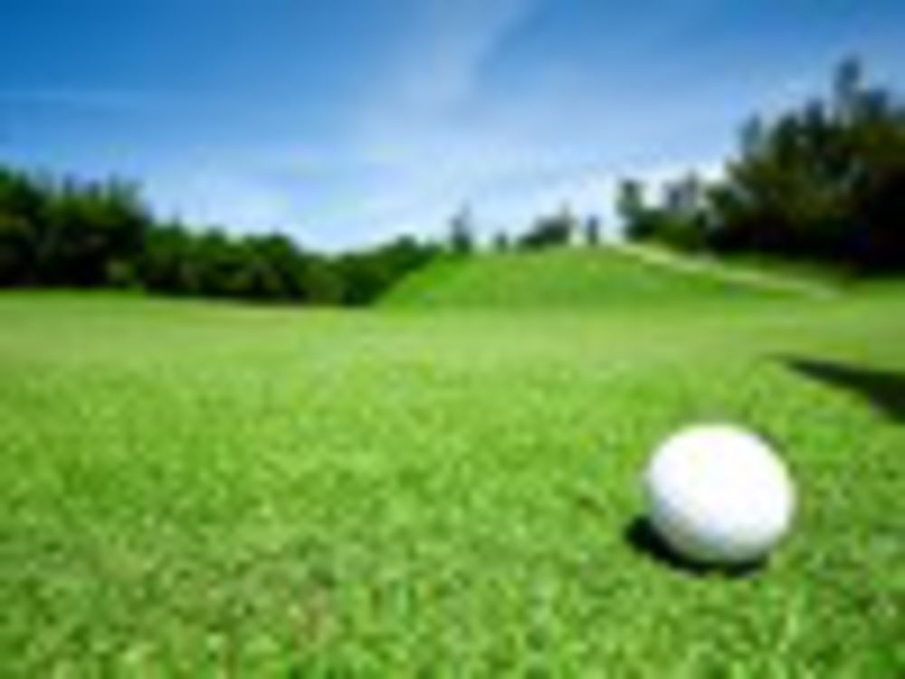 Course photo for South Hardin