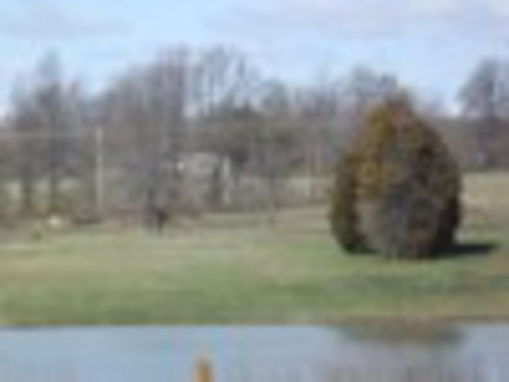 Course photo for Cedarbrook Golf Course- Par 3