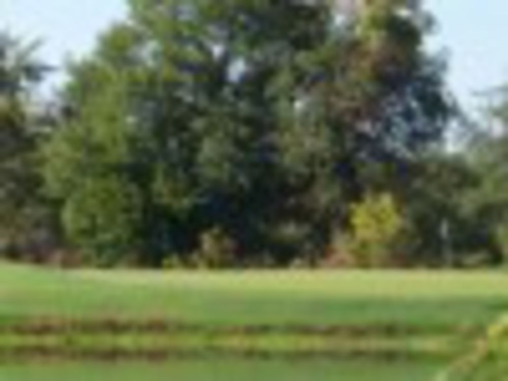 Course photo for Meadow Valley Golf Club