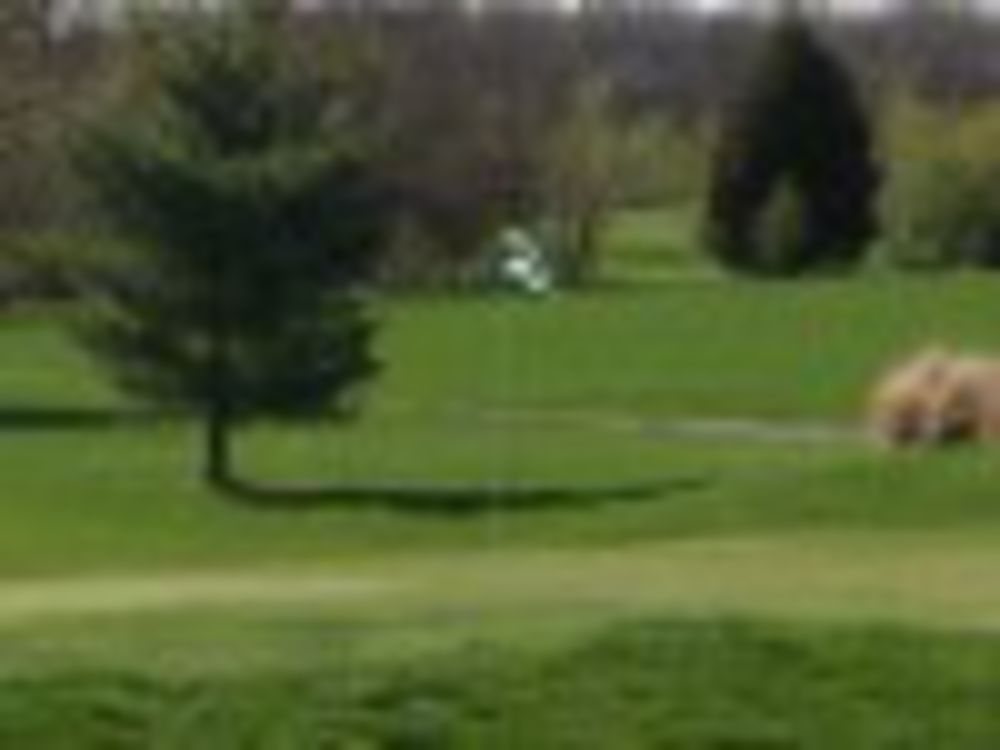 Course photo for Morning Star Golf Course
