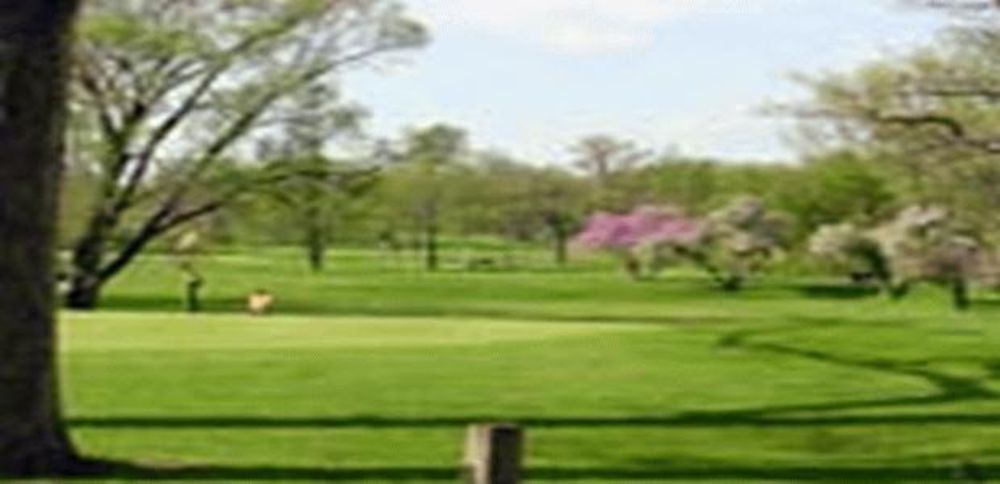 Course photo for Curtis Creek Country Club