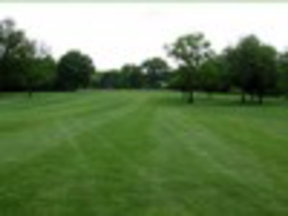 Course photo for Sarah Shank Golf Course