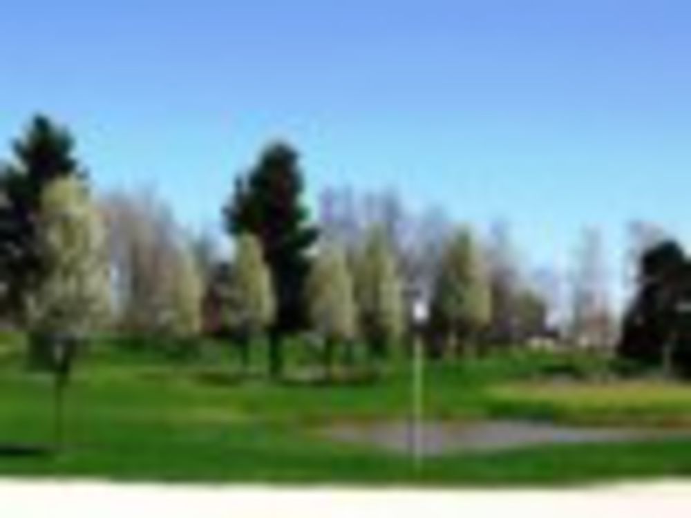 Course photo for Sycamore Golf Course