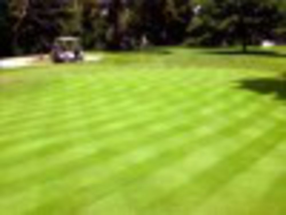 Course photo for Turkey Run Golf Club