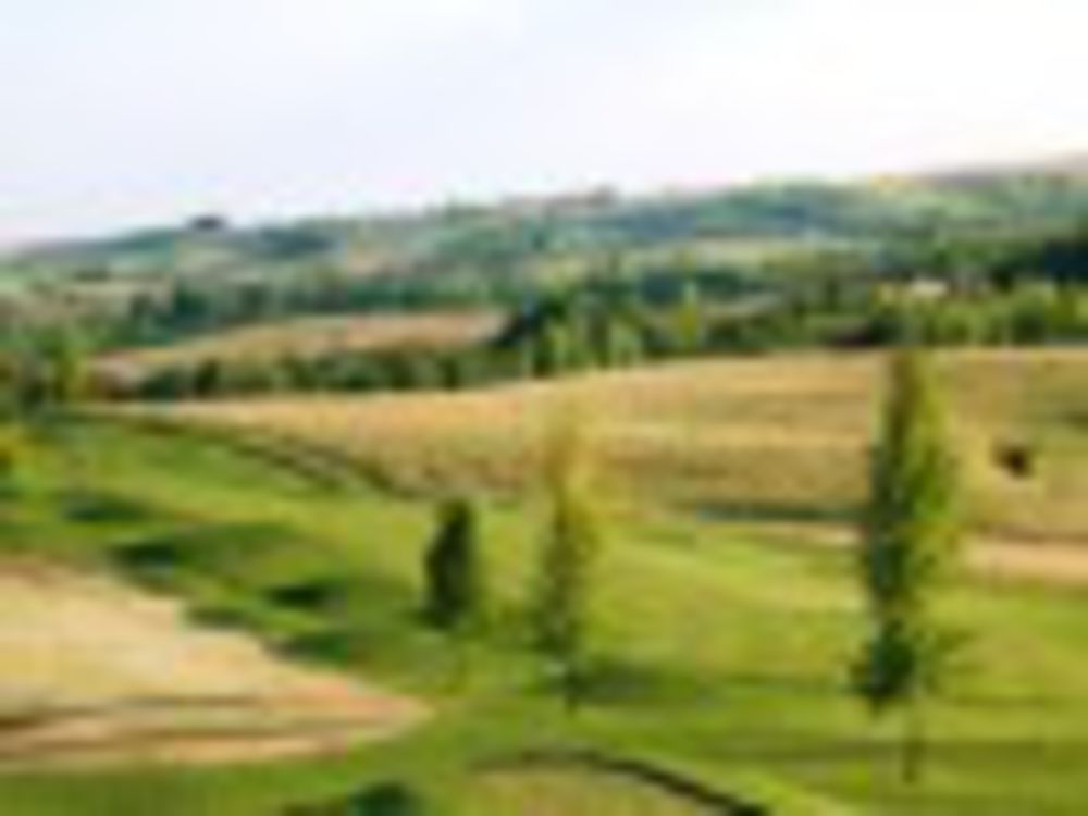 Course photo for Cool Springs Golf Course