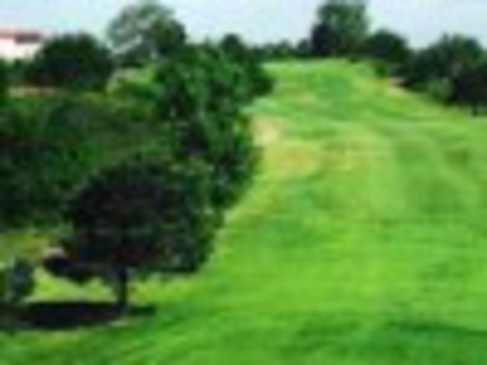 Course photo for Crazy Horse Sports Club